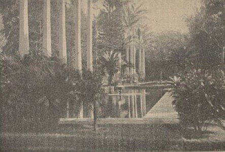 Les bassins en 1898