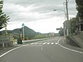 入田町大久 徳島県道21号神山鮎喰線 (2)