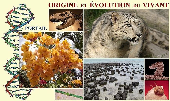 origine Et Évolution Du Vivant