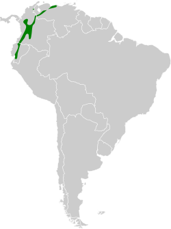 Distribución geográfica del colibrí de raquetas.