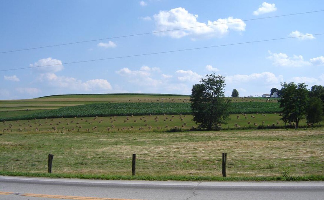 Clark Township, Holmes County, Ohio