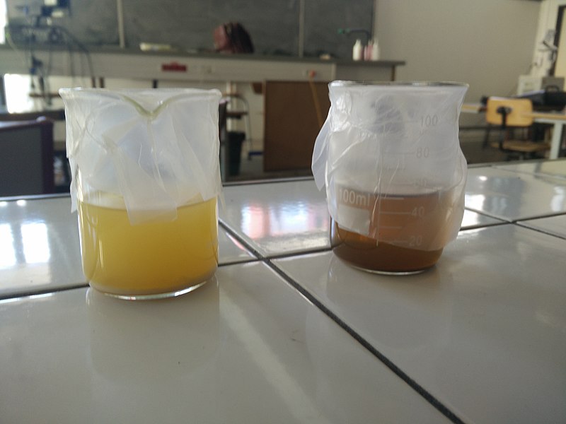 File:Orange juice cola beakers 50 ml yeast - 3 weeks.jpg