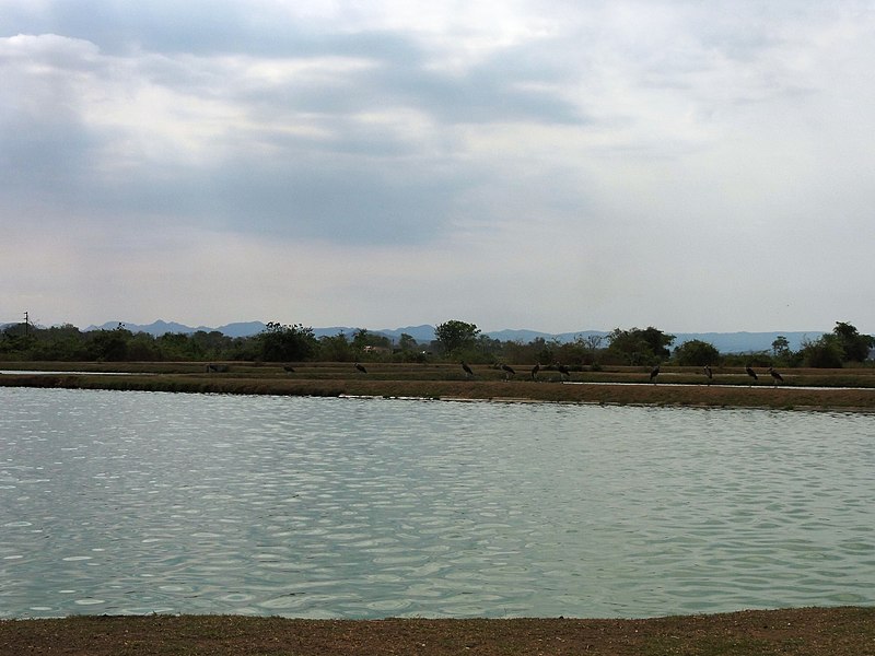 File:Oxidation pond at the Nyamhunga wastewater treatment plant in Kariba (6910360109).jpg