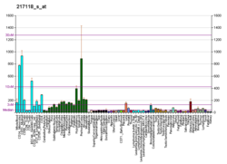 PBB GE C22orf9 217118 s bei fs.png