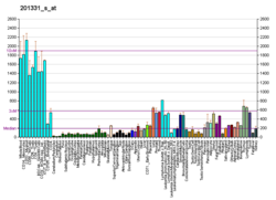 PBB GE STAT6 201331 с at fs.png