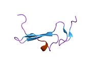 1ip0: ساختار بتاسلولین-۲ انسانی، تعیین‌شده با طیف‌سنجی تشدید مغناطیسی هسته‌ای