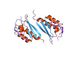 PDB 1zzi EBI.jpg