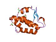 PDB 2ccq EBI.jpg