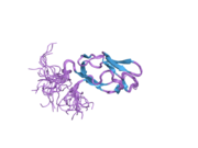 2dnc: Solution Structure of RSGI RUH-054, a lipoyl domain from human 2-oxoacid dehydrogenase