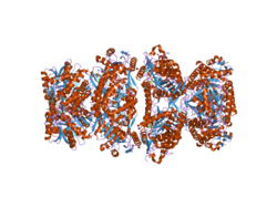 PDB 2j6l EBI.png