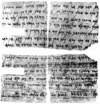 Padua Aramaic papyrus 1 (also known as the Migdol papyrus).png