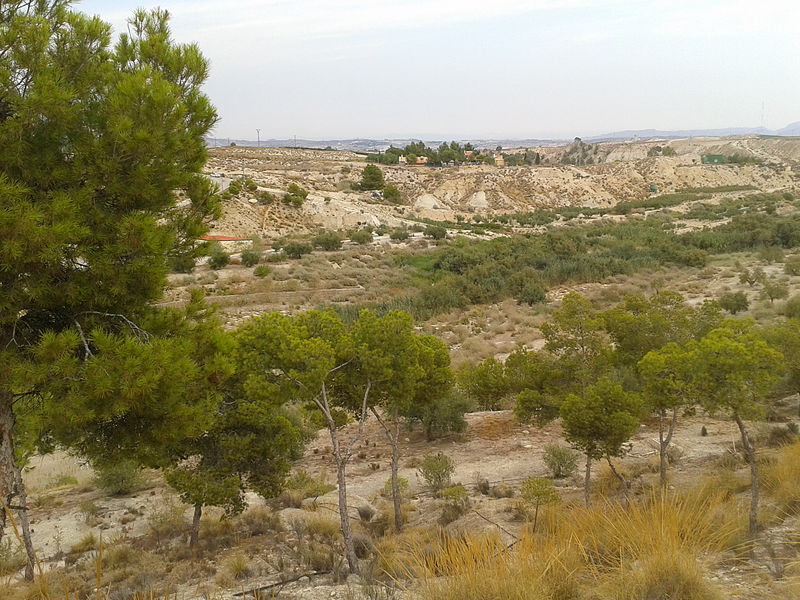 File:Paisaje del Rodeo de La Ermita y la Pilica..jpg