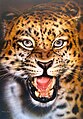 Dipinto di leopardo di Fabio Pastori