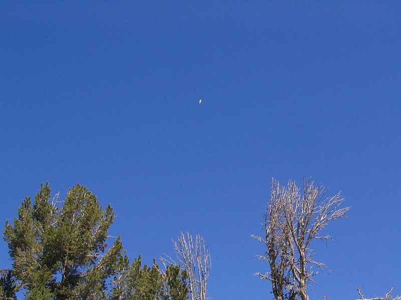 File:Paraglider, Hike to and from Mount Rose Summit, Nevada (251081397).jpg