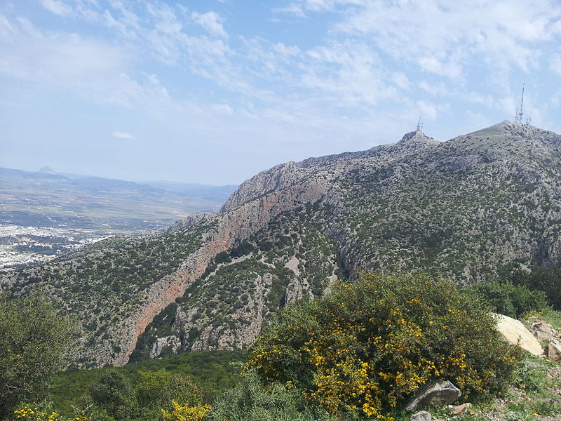 File:Parc National Jebal Zaghouan 25.jpg