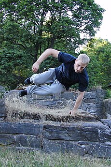 File:Flipping Joe Scandrett (30735026225).jpg - Wikimedia Commons