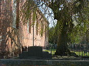 Het oudste gedeelte van het kerkhof ten zuiden van de kerk (met treurbeuk).