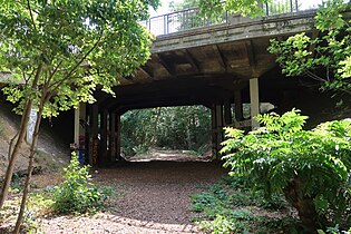 Vue du pont depuis la Petite Ceinture 16e.