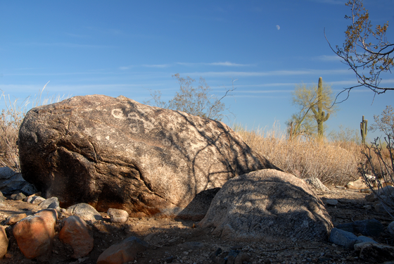 Petroglyphs from White Tank Mountains, Maricopa County, Arizona, USA. Hohokam culture circa 1100 CE or older. Sonoran desert flora and landscape.