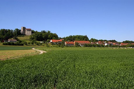 Habsburg, Swiss