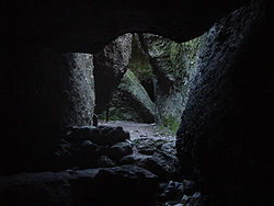Bear Gulch Cave provides a home to a colony of Townsend's big-eared bats[3]