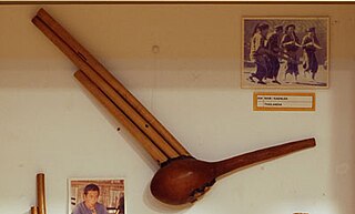 <span class="mw-page-title-main">Ploy (musical instrument)</span> Cambodian musical instrument