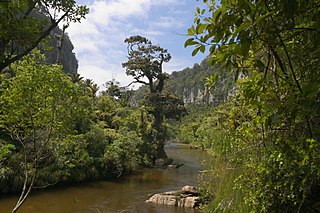 <span class="mw-page-title-main">Pororari River</span> River in New Zealand