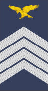 File:Portugal-AirForce-OR-6b.svg