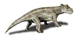 Proburnetia, a biarmosuchian with strange bumps and bosses on its skull, from the Late Permian of Russia Proburnetia BW.jpg