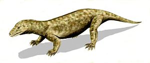 Live rekonstruksjon av Procynosuchus delaharpeae fra Øvre Perm i Sør-Afrika