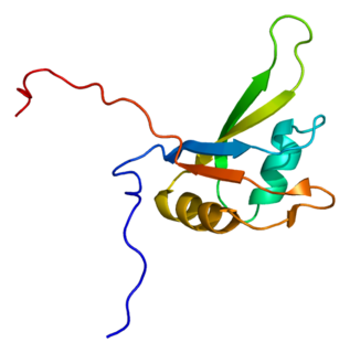 EIF4H Protein-coding gene in the species Homo sapiens