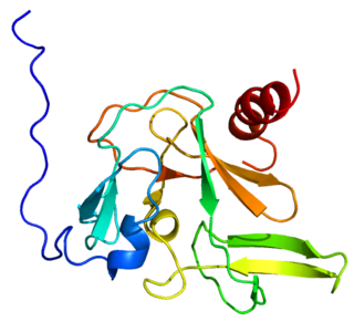 <span class="mw-page-title-main">PRDM2</span> Protein-coding gene in the species Homo sapiens