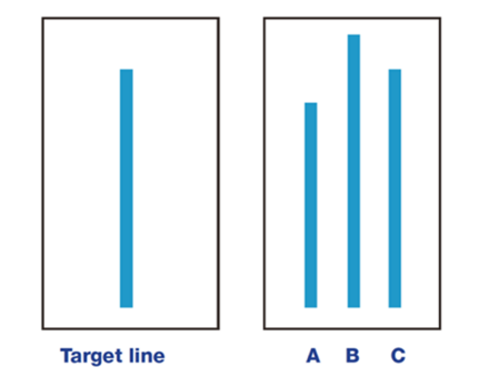 Participants had to state which line (A, B, or C) was most similar to the target line out loud.