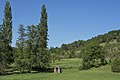 1026) Paysage typique d'un vallon en Dordogne. 28 novembre 2011