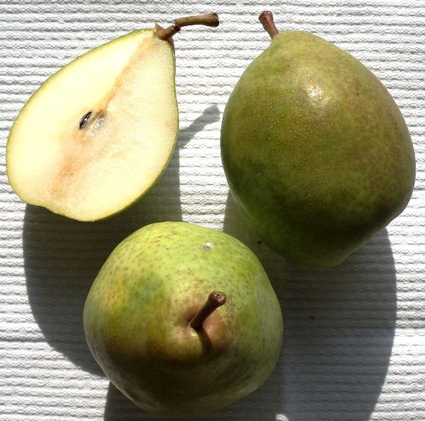 File:Pyrus - Köstliche aus Charneux.JPG