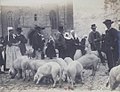 Le marché aux cochons de Quimperlé vers 1900 1