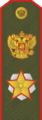 Еполета на радној униформи (1994—2010)