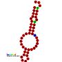 Thumbnail for Turnip crinkle virus (TCV) repressor of minus strand synthesis H5