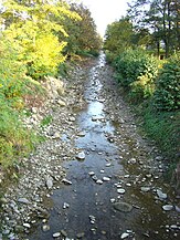 Pârâul Valea lui Tănase