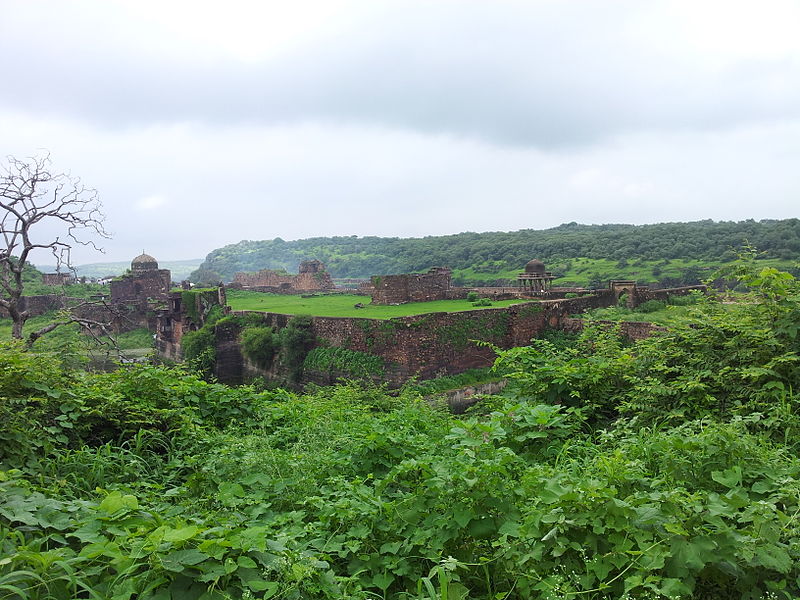 File:Rani Talab Within Ranthambore Fort Area in Sawai Madhopur Rajasthan India 2013-09-08 16-24.jpg