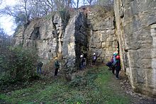 Malton Oolite (Upper Jurassic, Oxfordian) in Ravenswick Quarry, Yorkshire. Ravenswick Quarry Malton Oolite.JPG