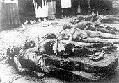 Тела жертв Херсонской ЧК в подвале дома Тюльпанова, 1918 год