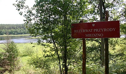 Rezerwat przyrody Miedzno