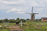 Rijpwetering, le moulin : Lijkermolen no 1.