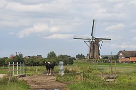 Rijpwetering, windmill: Lijkermolen no1