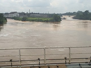 <span class="mw-page-title-main">Sanaga River</span> Largest river in Cameroon