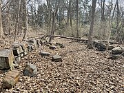 Rock Walls in Forwood Preserve