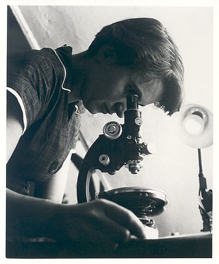 Забыть ученый. Rosalind Franklin. Фотография 51 Франклин. Rosalind Franklin DNA. Микроскопы в фильмах.