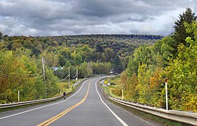 Route 220 near Lake Brompton.