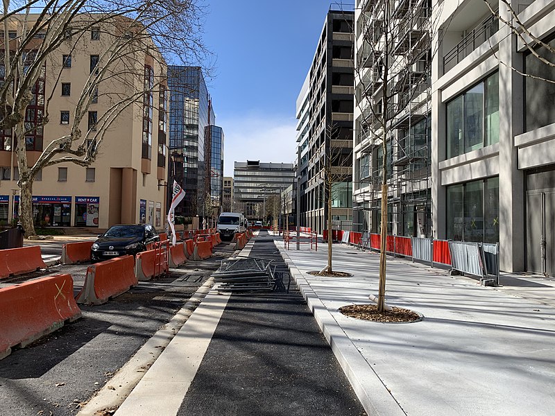 File:Rue Desaix (Lyon) - vue en mars 2019.jpg